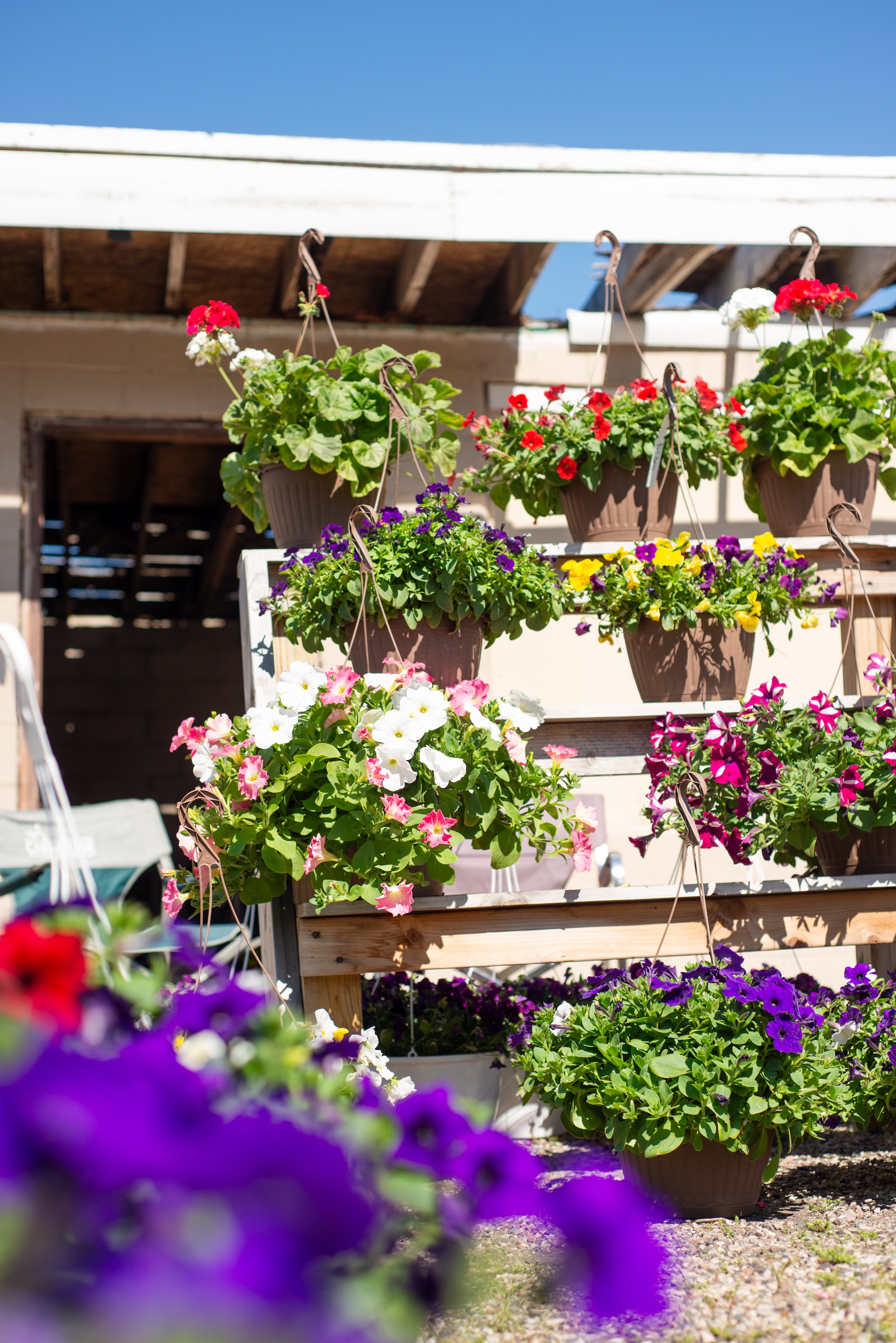 Hanging flower baskets from Weaver's Greenhouse displayed outside Yoo-Par Scoops for the Andruk Acres Manistique flower market