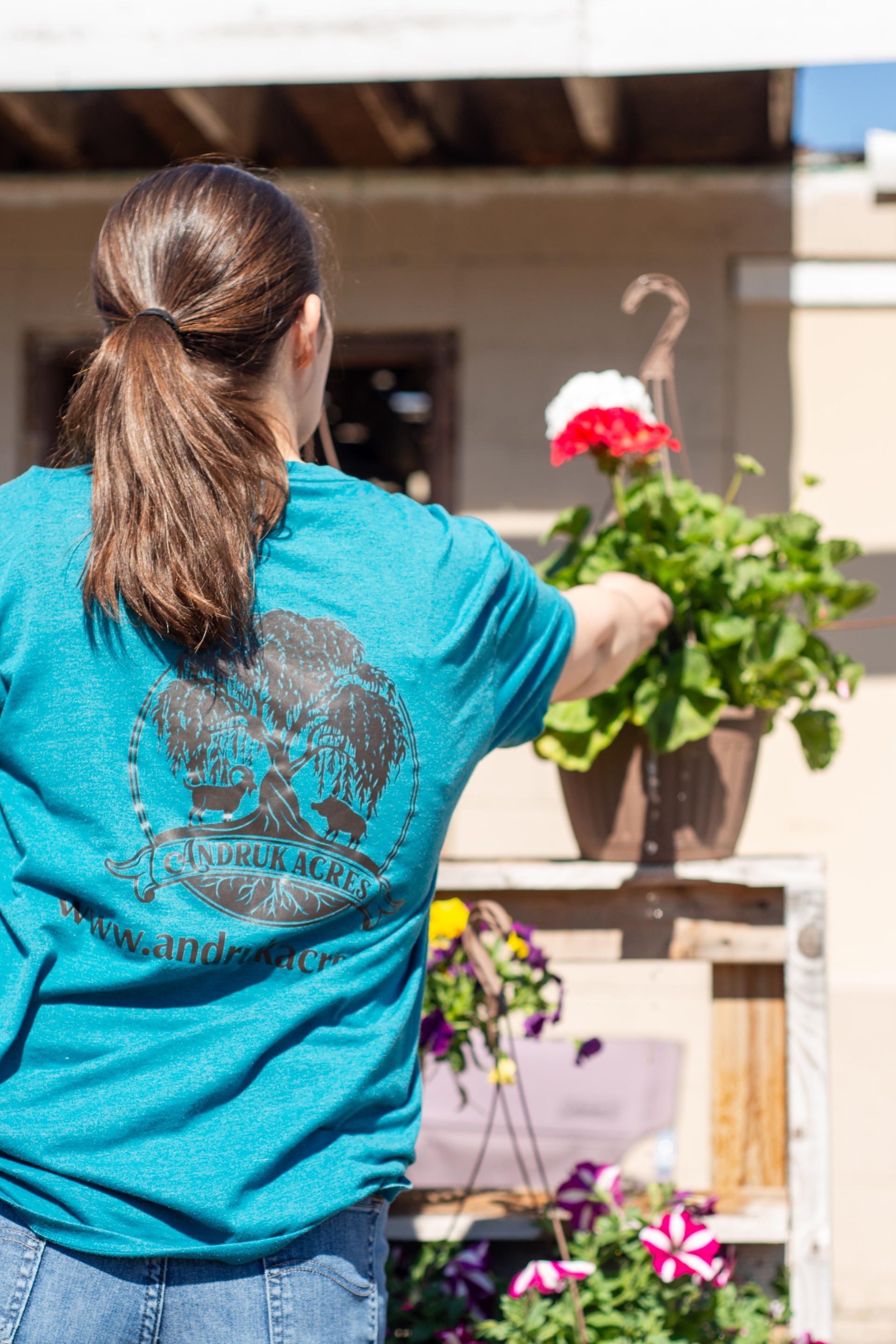 Alison of Andruk Acres watering fresh hanging flower baskets at their Manistique spring market sale